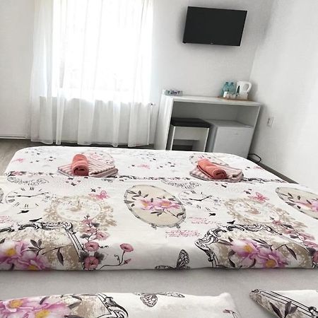 Apartament Linistit / Cozy Apartment 坎普朗莫道尼斯 外观 照片
