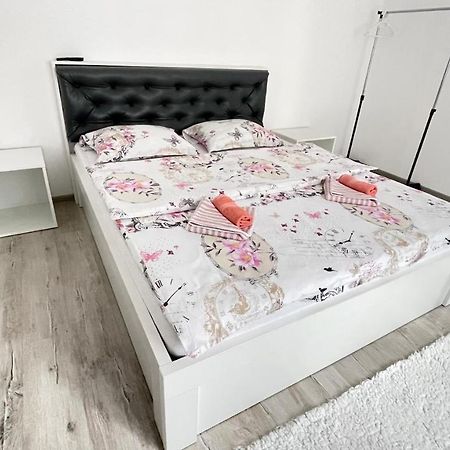 Apartament Linistit / Cozy Apartment 坎普朗莫道尼斯 外观 照片