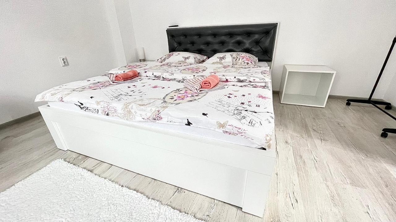 Apartament Linistit / Cozy Apartment 坎普朗莫道尼斯 外观 照片