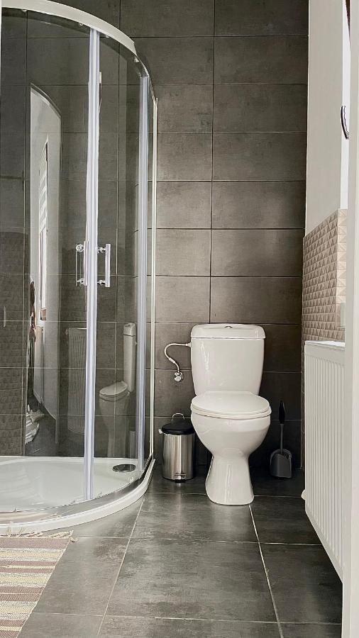 Apartament Linistit / Cozy Apartment 坎普朗莫道尼斯 外观 照片